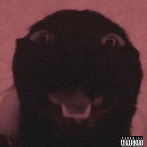 Meet your Posher, Isabelle